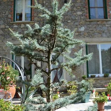 Bounty, B&b, Cuisine Privee, Lit Queen Size, Terrasse, Parking, Garage Bed & Breakfast