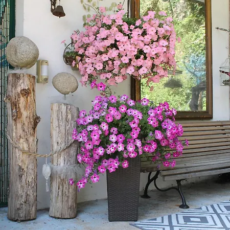 Bed & Breakfast Bounty, B&b, Cuisine Privee, Lit Queen Size, Terrasse, Parking, Garage Olliergues